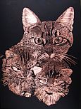 Kratzbild Kupfer - Katzchen
