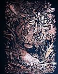 Kratzbild Kupfer - Tigerbaby